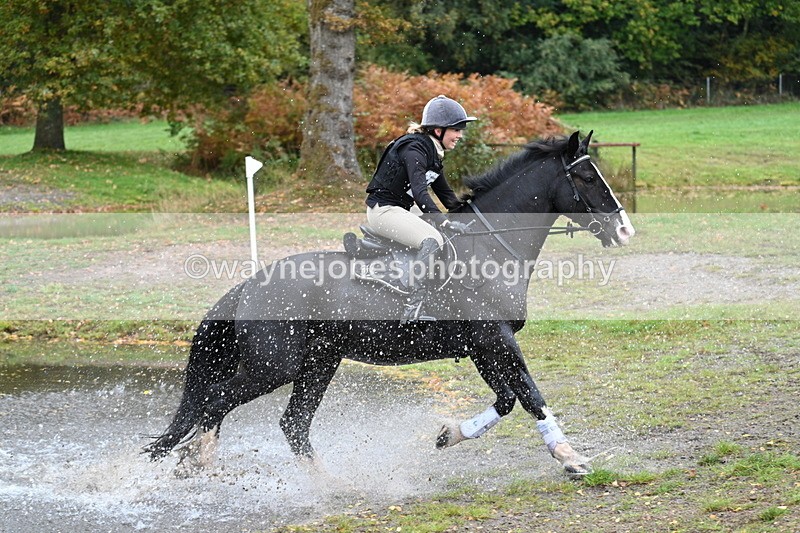 WJ7_3933 - Time 11:37 to 11:48