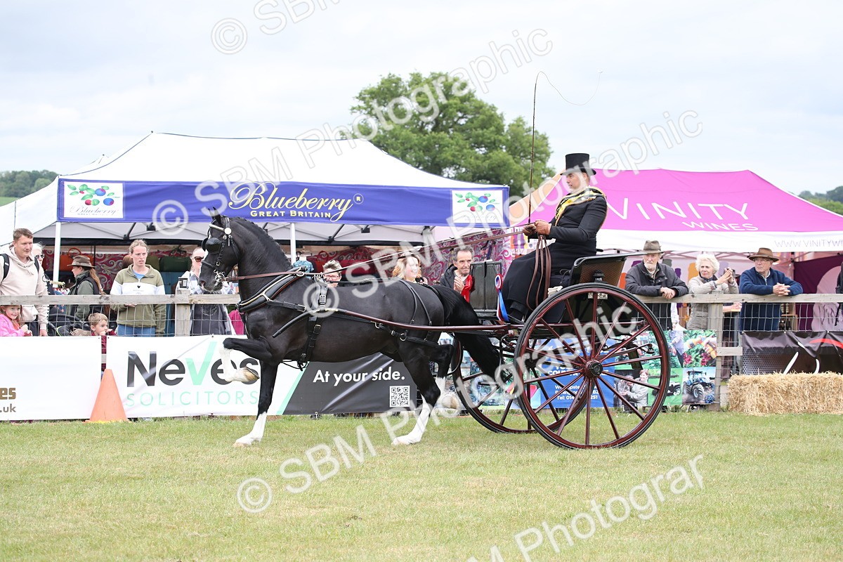 SBM_05933 - Class 12-15 - HOYS Private Driving