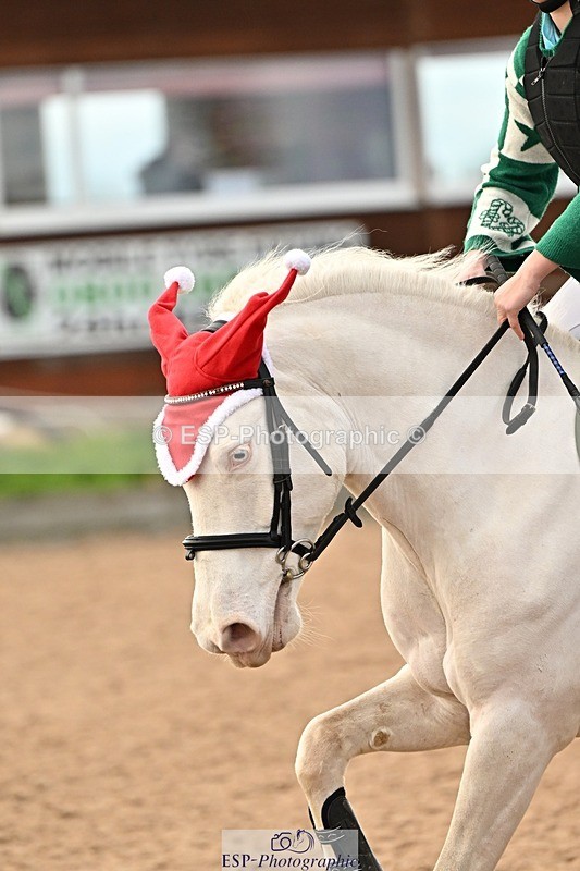 241215-135619-01111 - 1m