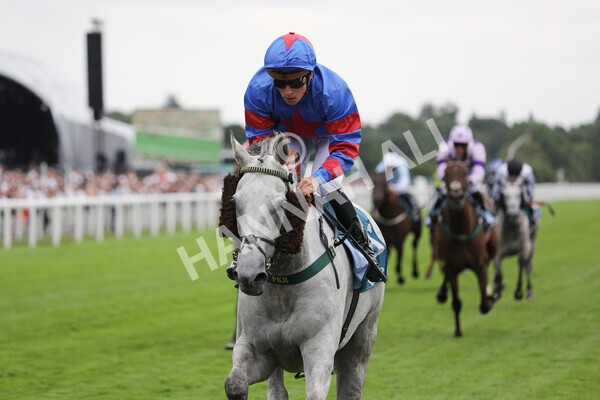 yr23072022r5-30 - Race 5 4.25pm Sky Bet UK's No1 Betting App Stakes