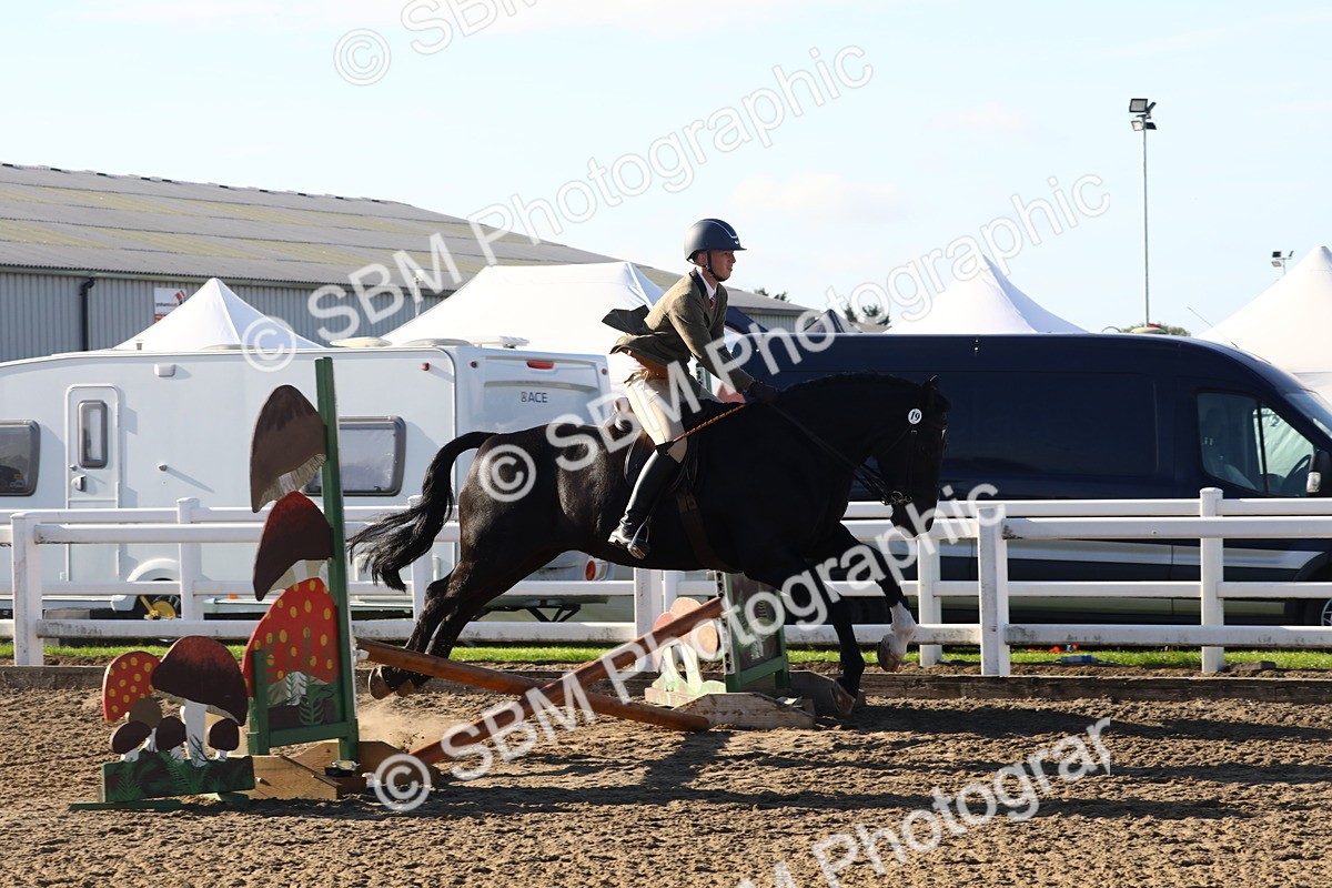 SBM_07923 - Class 501 - Riding Club Pony