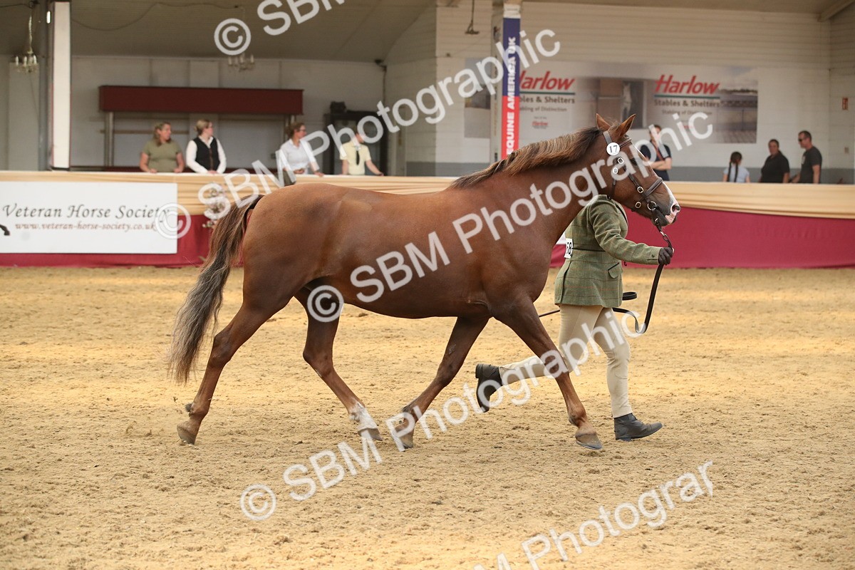 SBM_05626 - Class 9R - Regional IH Pre-Vet