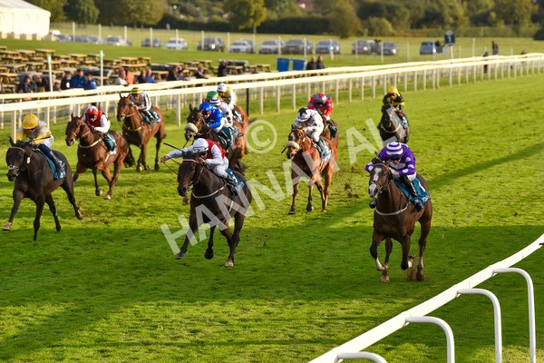 131023-Race 6-Wen Moon-9881 - Race 6 5.00pm Copper Knight - Winning Most Horse At York Handicap