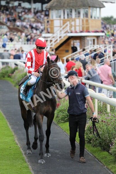 yr23072022r6-18 - Race 6 5.00pm Sky Bet Partnership with Support Dogs Stakes