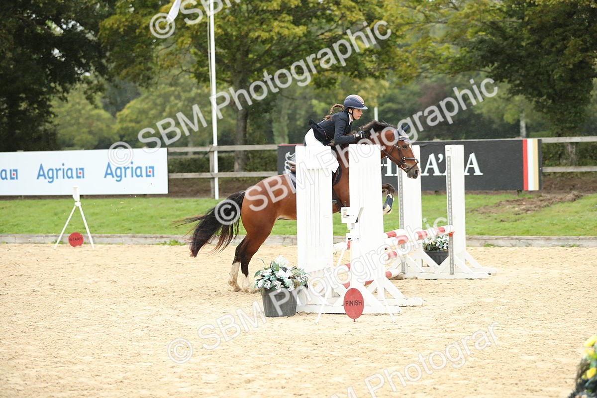SBM_70361 - J15 - Junior Pony 70cm Championship