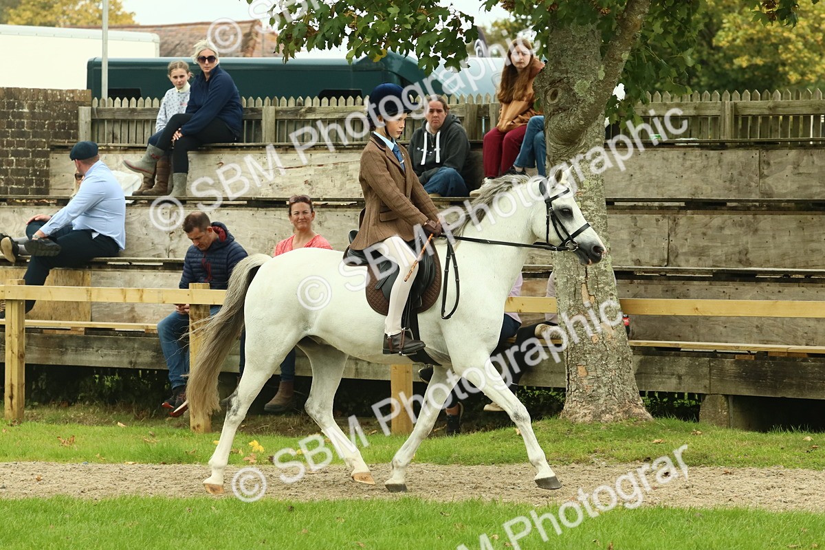SBM_69915 - S59 - Mountain & Moorland Ridden Small Breeds