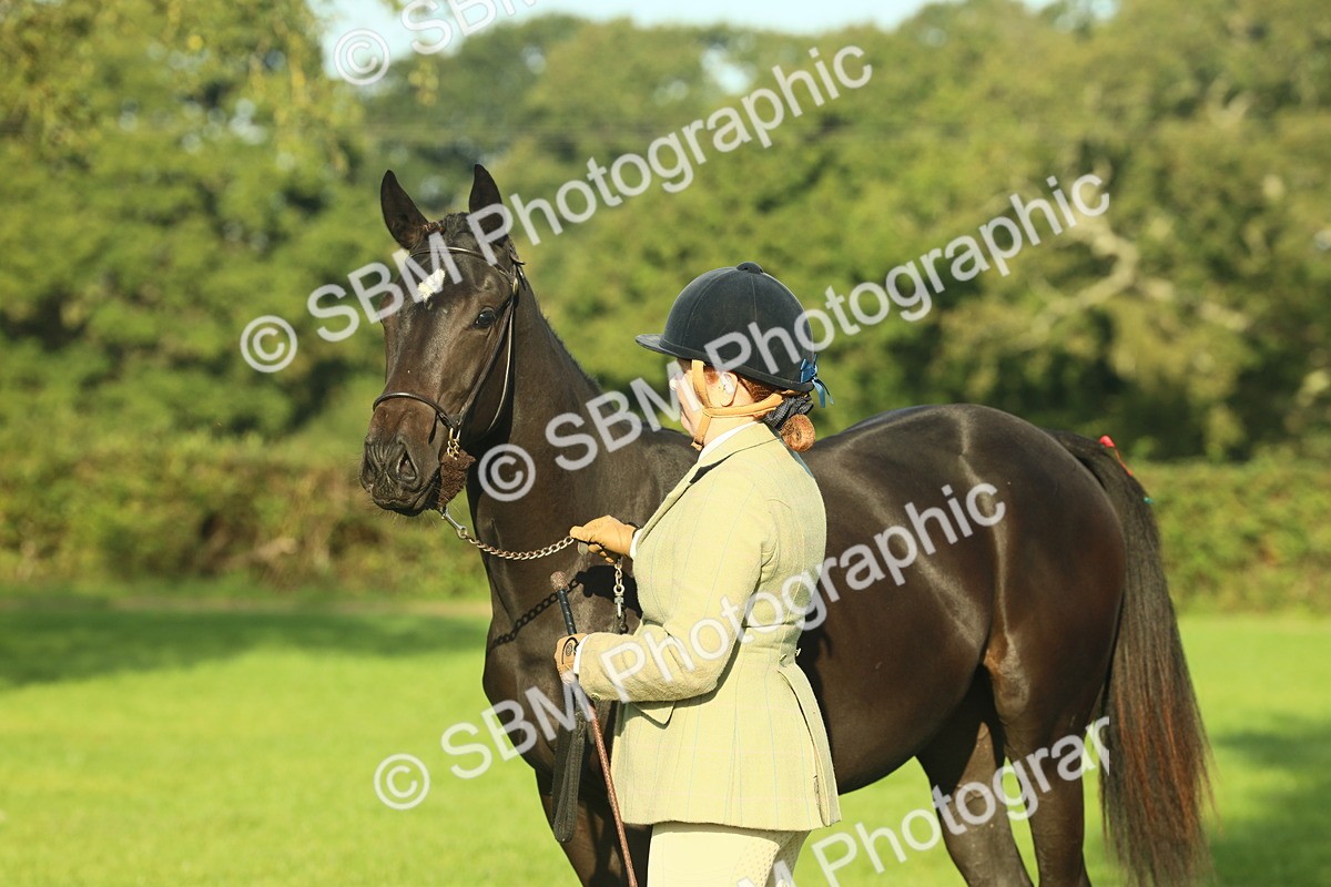 SBM_58614 - S37 - Starters In Hand Showing