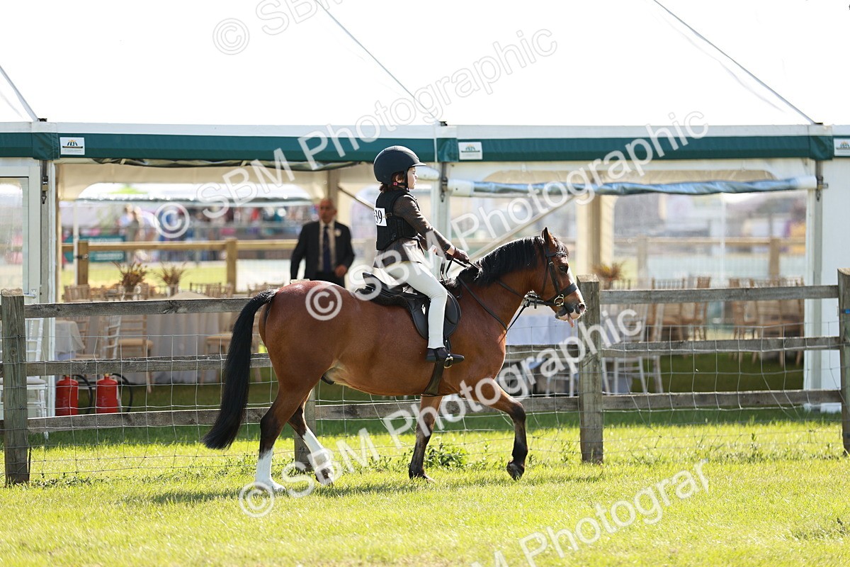 SBM_12571 - Class 106-107 - BSPS LIHS Working Sports Pony