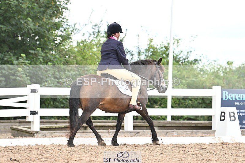 250705-175521-03977 - BRCP4 Sections BRCP4SNR, BRCP4JNR 13.50 to 14.53