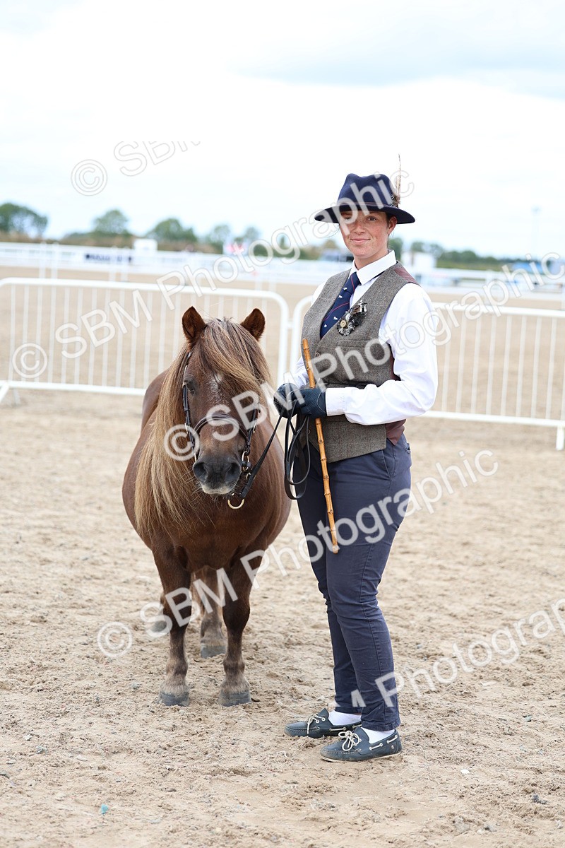SBM_05922 - Class 29 - IH Veteran Pony