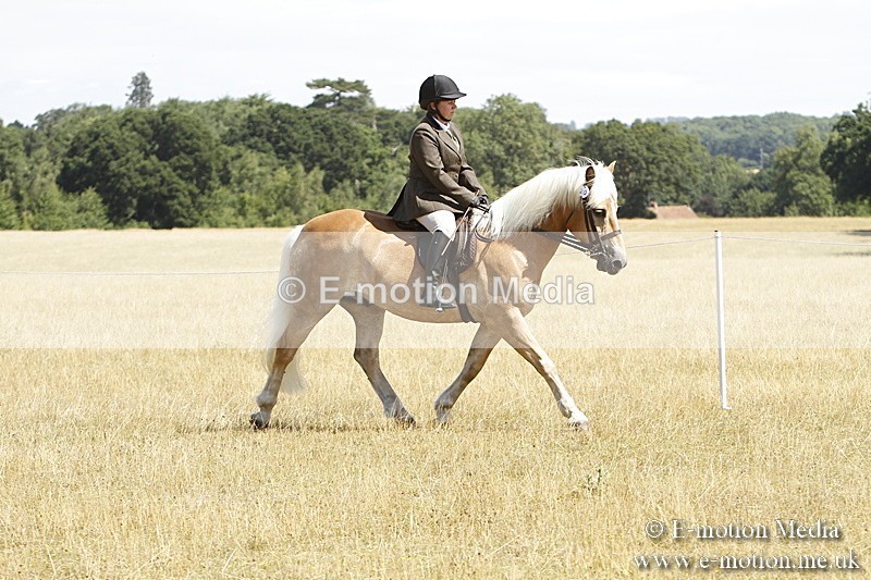 _BS_0722 - BVRC Show 2018 Ring 1