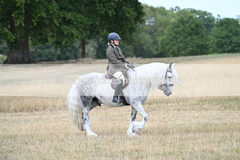 WJ7_5415 - Class 12 Ridden Cob