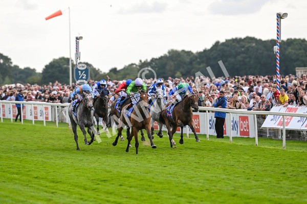 240824-Race 3-Breege-1396 - Race 3 3.00pm Sky Bet City Of York Stakes