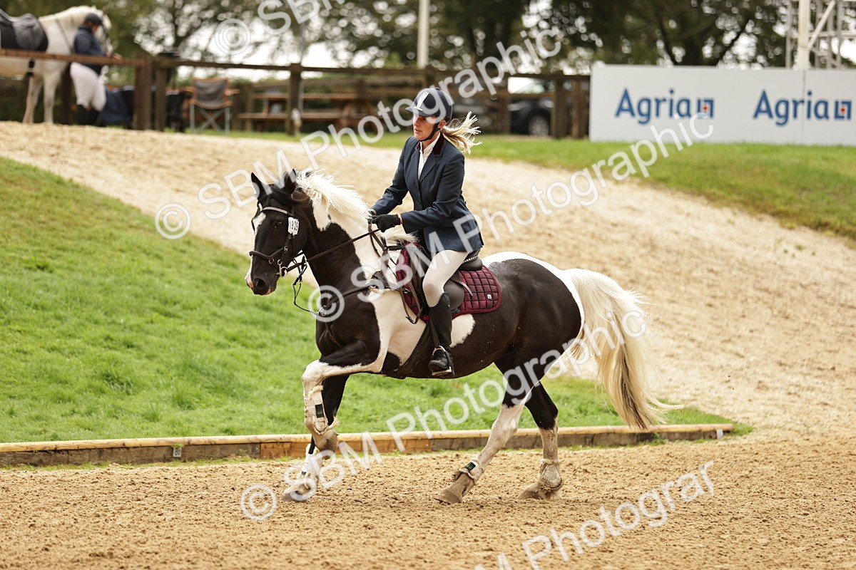 SBM_33059 - J38 - Senior Horse & Pony 80cm Championship