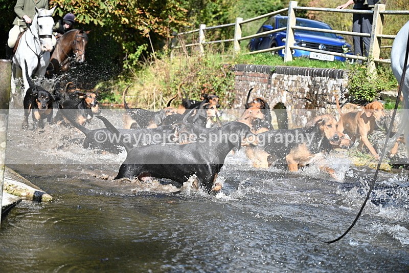 WJ7_5970 - Hounds Water Crossing