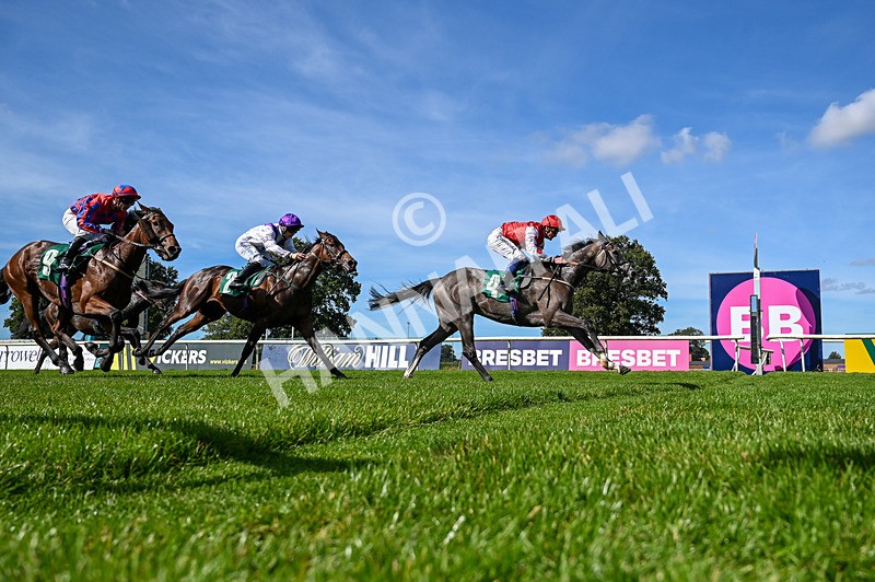 160924-Race 2-Magic Love-5037 - Race 2