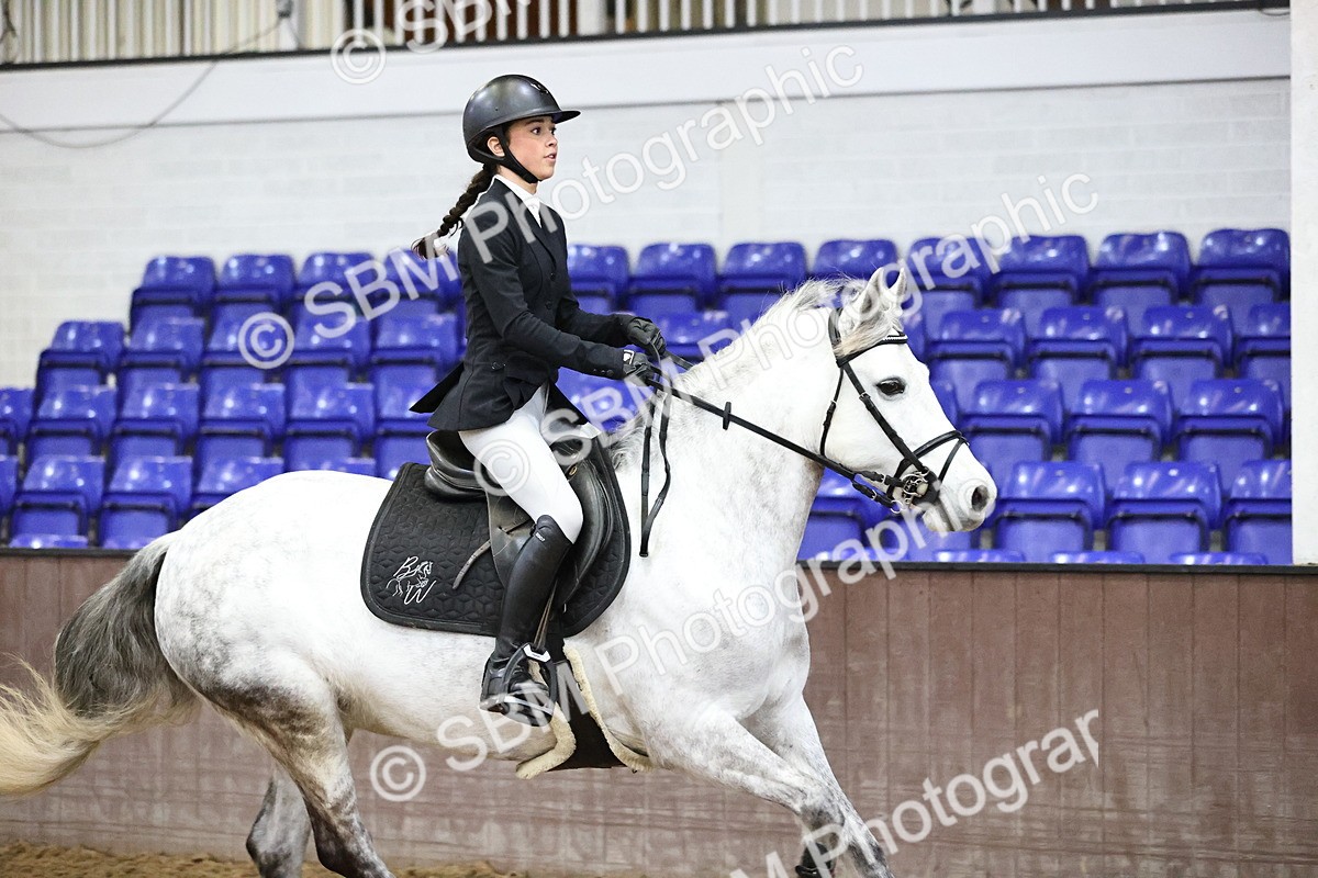 SBM_000290 - Class 2 - Pony British Novice - 80cm