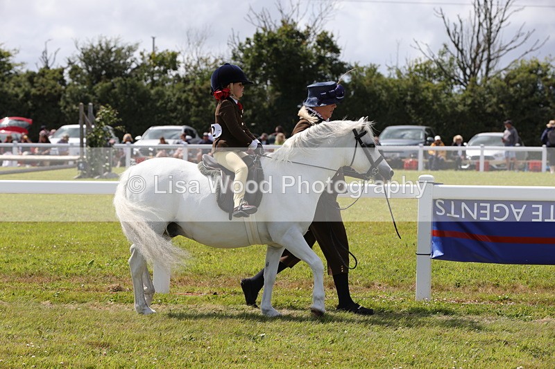 1X9A5172 - Class 36: NPS M&M Lead Rein