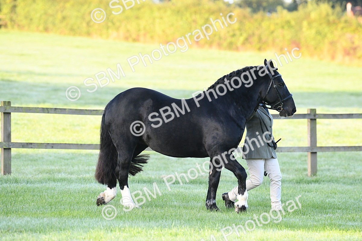 SBM_32430 - S15 - Condition & Turnout In Hand