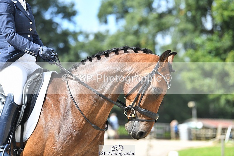 230812-112210-03605 - Cls 6 Novice Silver 10.30 to 11.55 break