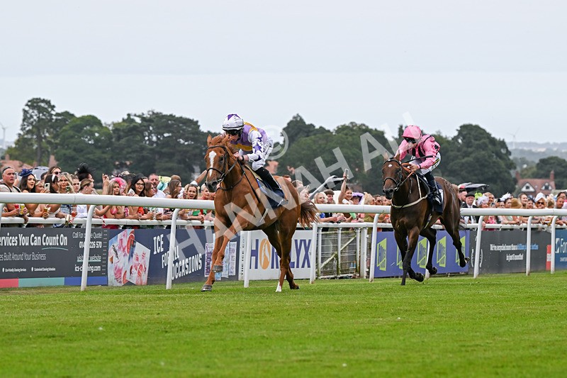 140824-Race 2-Stanhope Gardens-6032 - Race 2