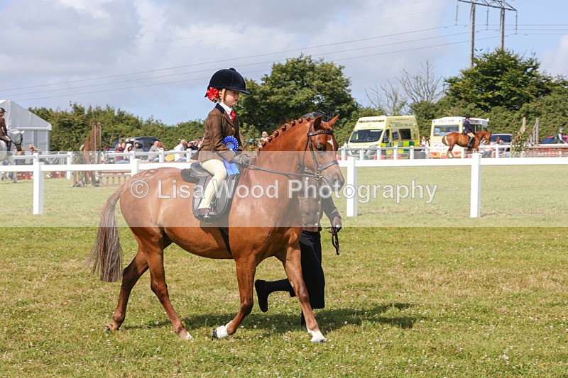 1X9A3699 - Class 29: Lead Rein SP/SHP