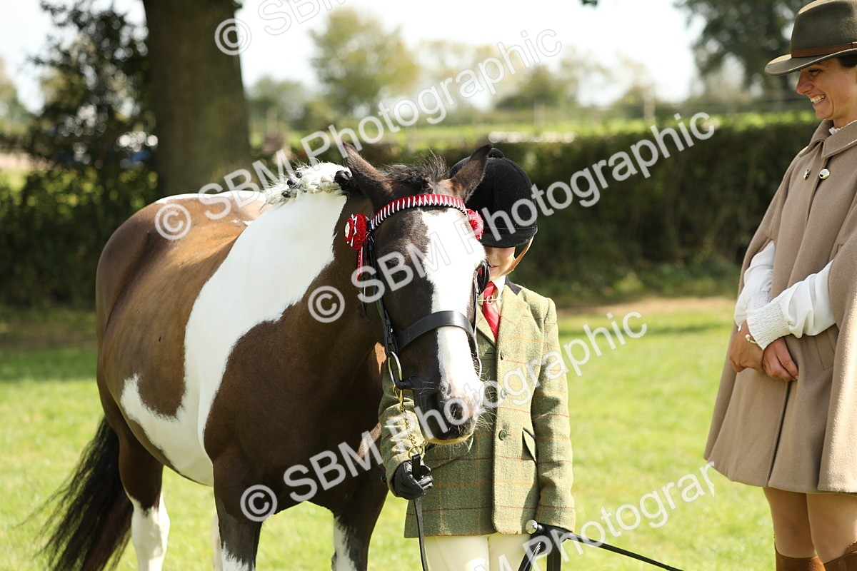 SBM_67789 - S39 - Junior Handler 8  Years & Under