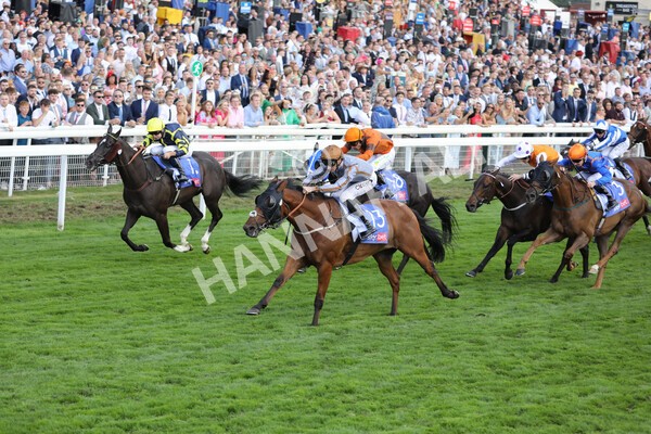 yr20082022r5-14 - Race 5 4.10pm Sky Bet Constantine Stakes