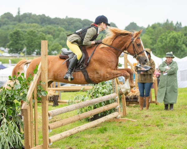 Dunblane show-471 - Dunblane and Doune Show Ring 1