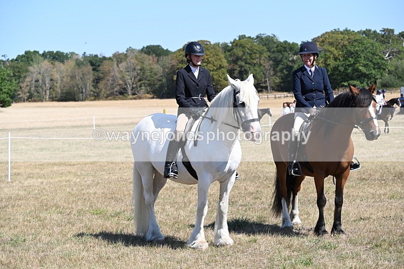 WJ6_8391 - Class 37a Best Loan Pony Ridden