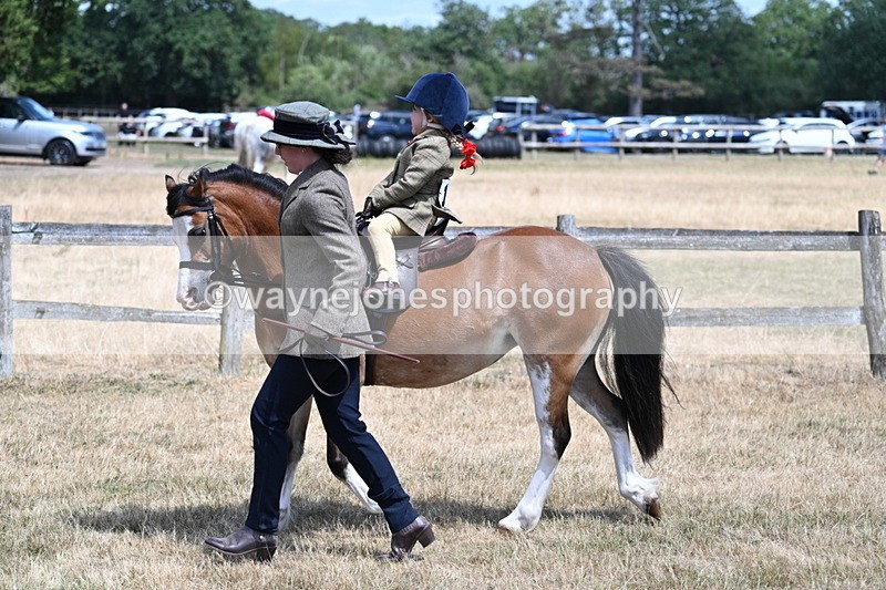 WJ7_2587 - Class 6 Ridden Mountain and Moorland