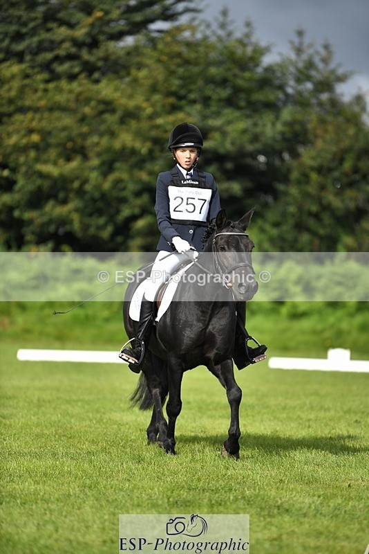 230826-095011-15257 - Sections C & D 9 to 10am