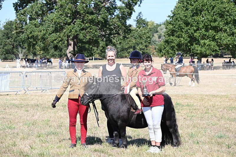 WJ6_8116 - Class 36 Lead Rein