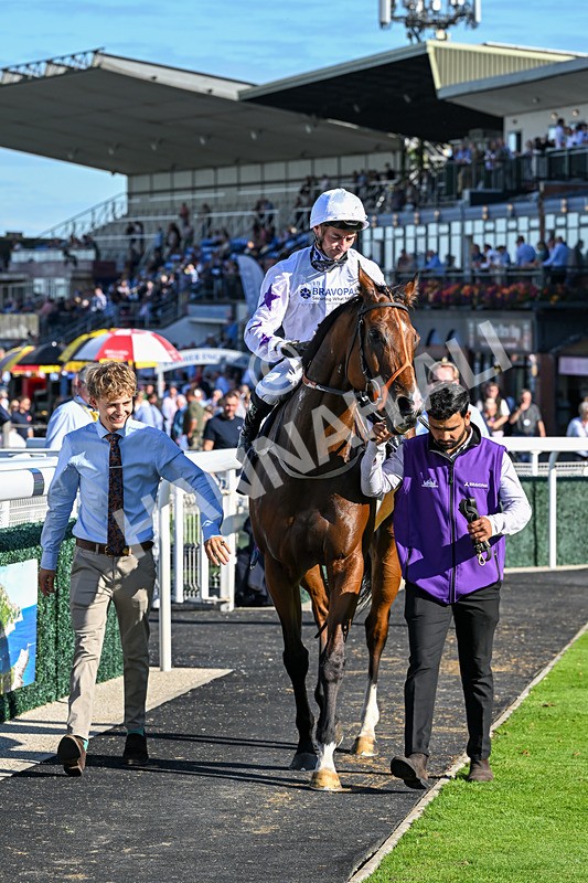 220926-Race 4-Toca Madera-4035 - Race 4 3.15pm Eddie And Violet Smith Conditions Stakes