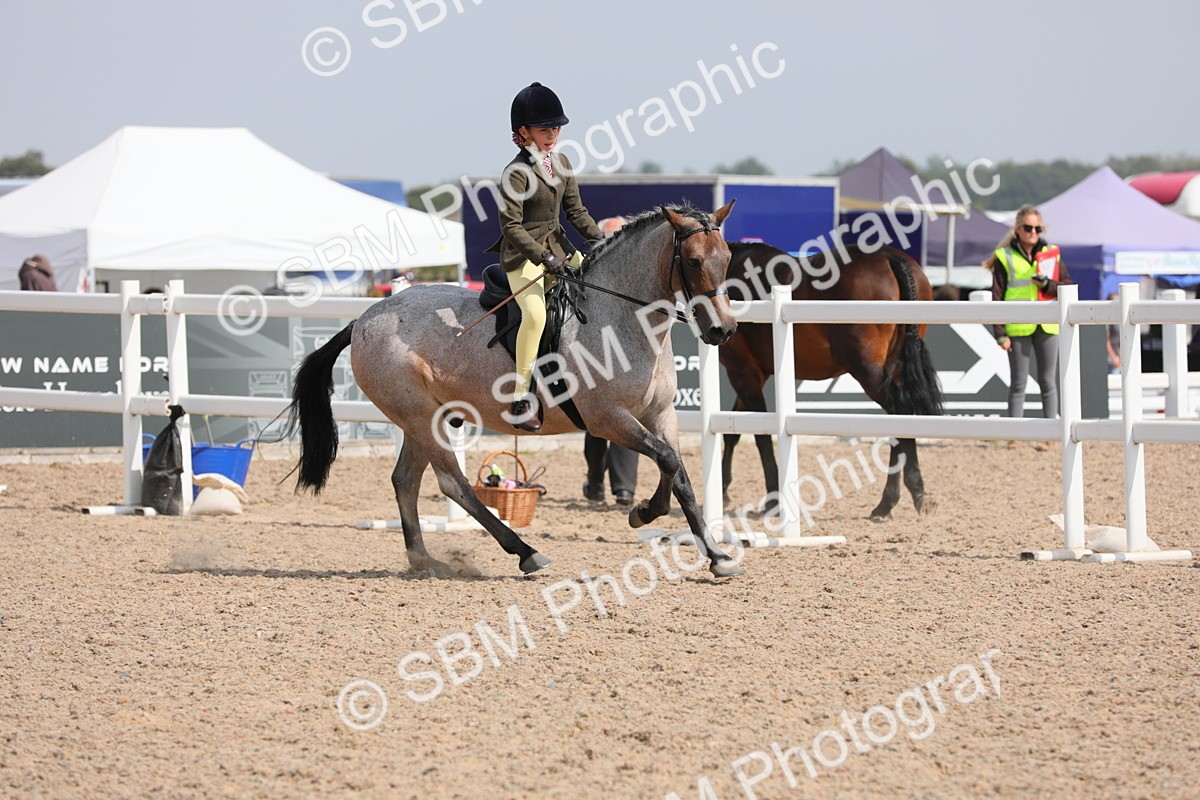 SBM_14748 - Class 310 First Ridden Pony