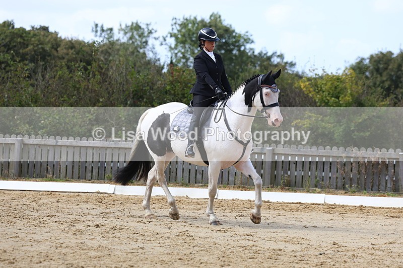 3E7A4055 - Class 9: Novice 6 Section B Championship