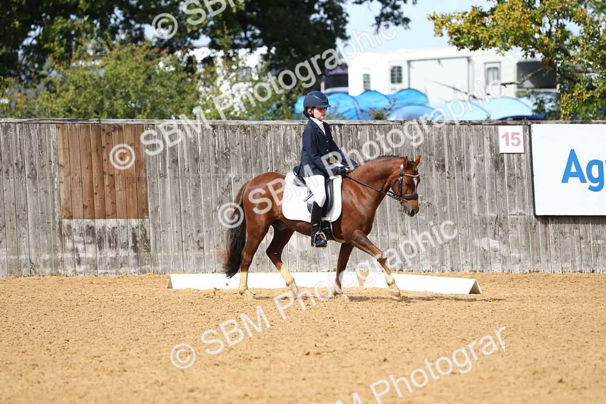SBM_42666 - D21 - Junior Championship Intro 1