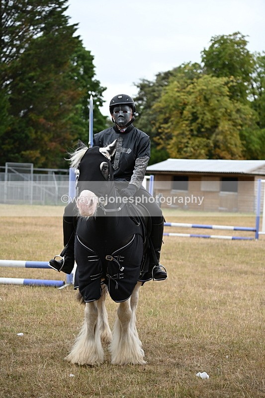 WJ6_8973 - Class 11 Fancy Dress