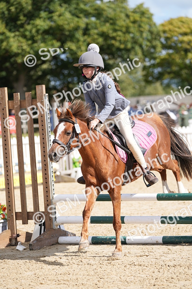 SBM_23649 - J50 - Open 60cm