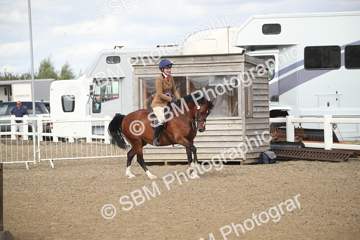 SBM_14619 - Class 505a - M&M Working Veteran - 50cm (15-19)