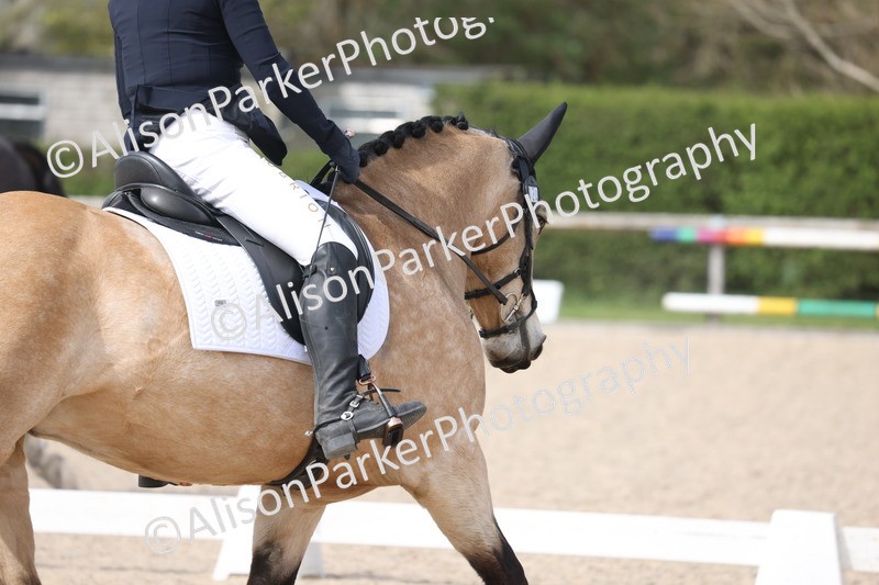 20260404-0887 - Class 5 - Novice 2