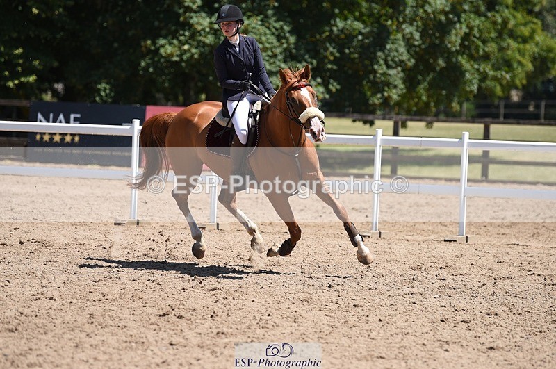 230707-132548-07090 - Cls 20 British Novice & 90cm Open