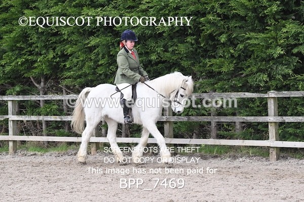 BPP_7469 - RING 1  (RIDDEN HORSES / IN HAND / VETERAN ETC)