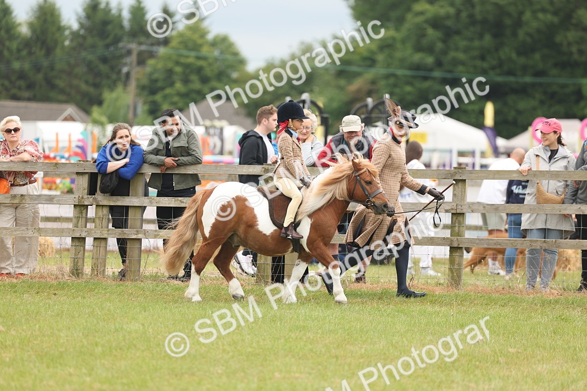 SBM_06685 - Class 74-75 - M&M Lead Rein and First Ridden Pony