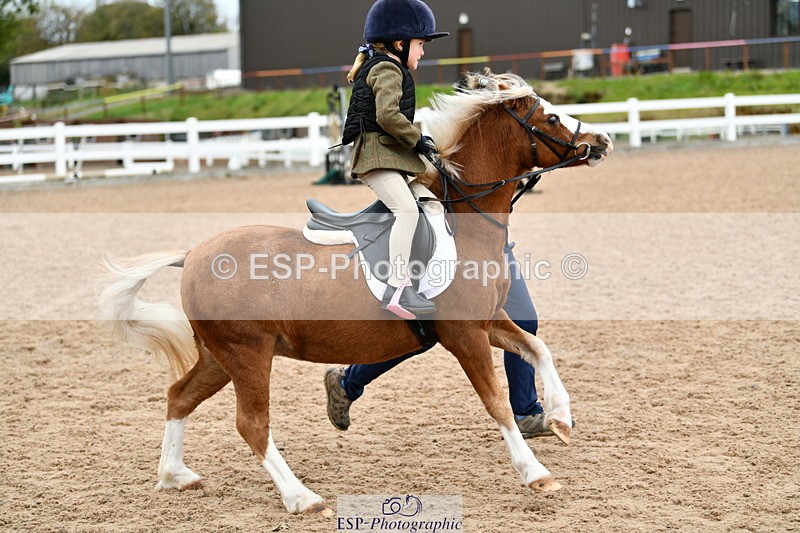 241013B-105425-00498 - Cls 2c 40cm Lead Rein