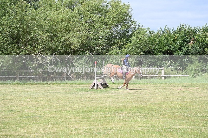 WJ6_6875 - 80cm XC Pairs