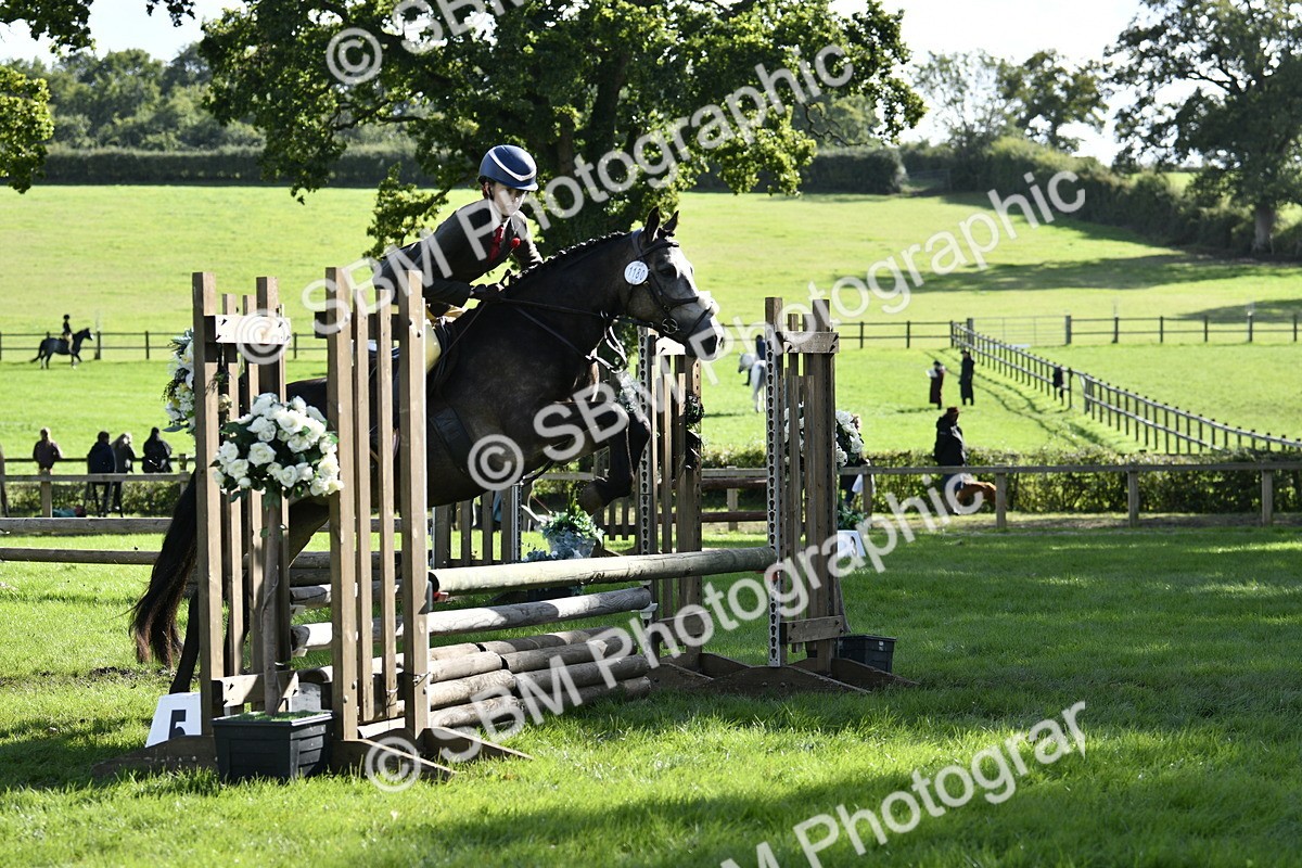 SBM_49986 - S34 - Novice & Newcomers Working Hunter