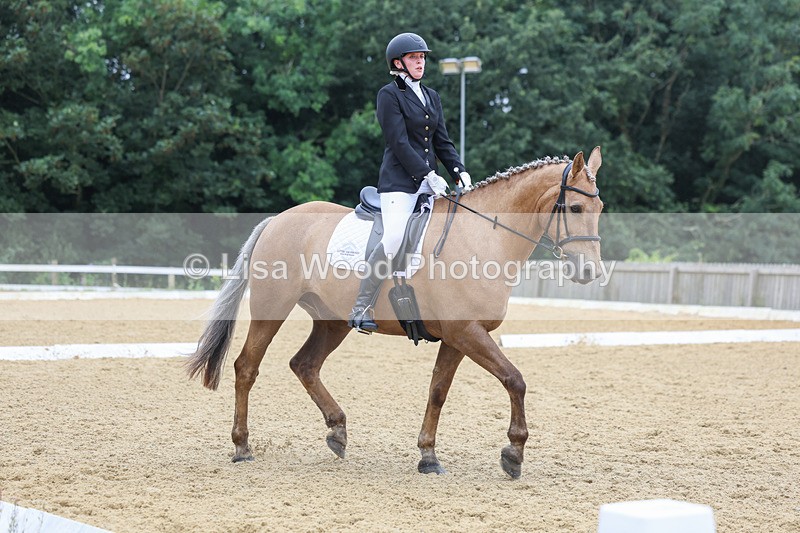 3E7A5062 - Class 2: Intro 4 2024 section B