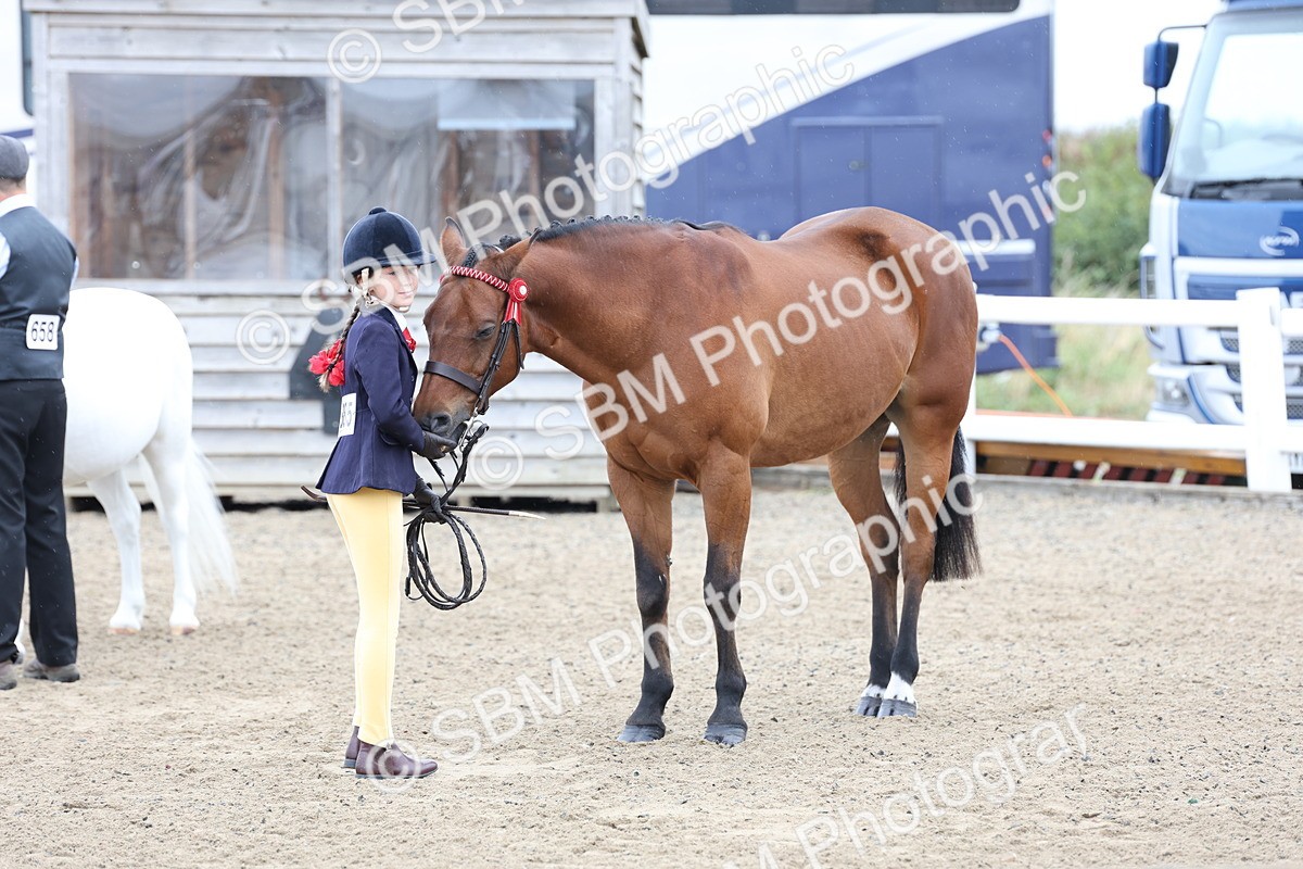 SBM_00071 - Class 50 - Best Turned Out IH