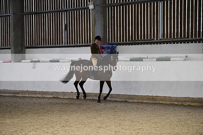 WJ5_8843 - Class 15 Ridden Show Horse
